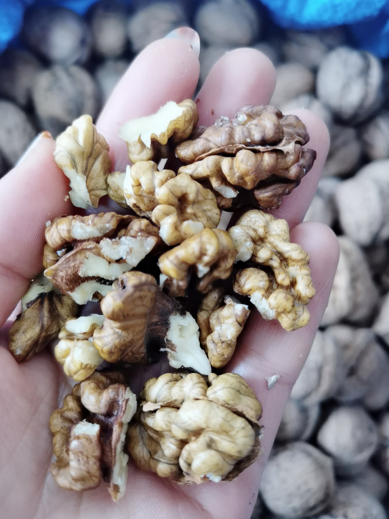 山区野核桃分心木，皮厚，分心木含量好。非薄皮核桃分心木。