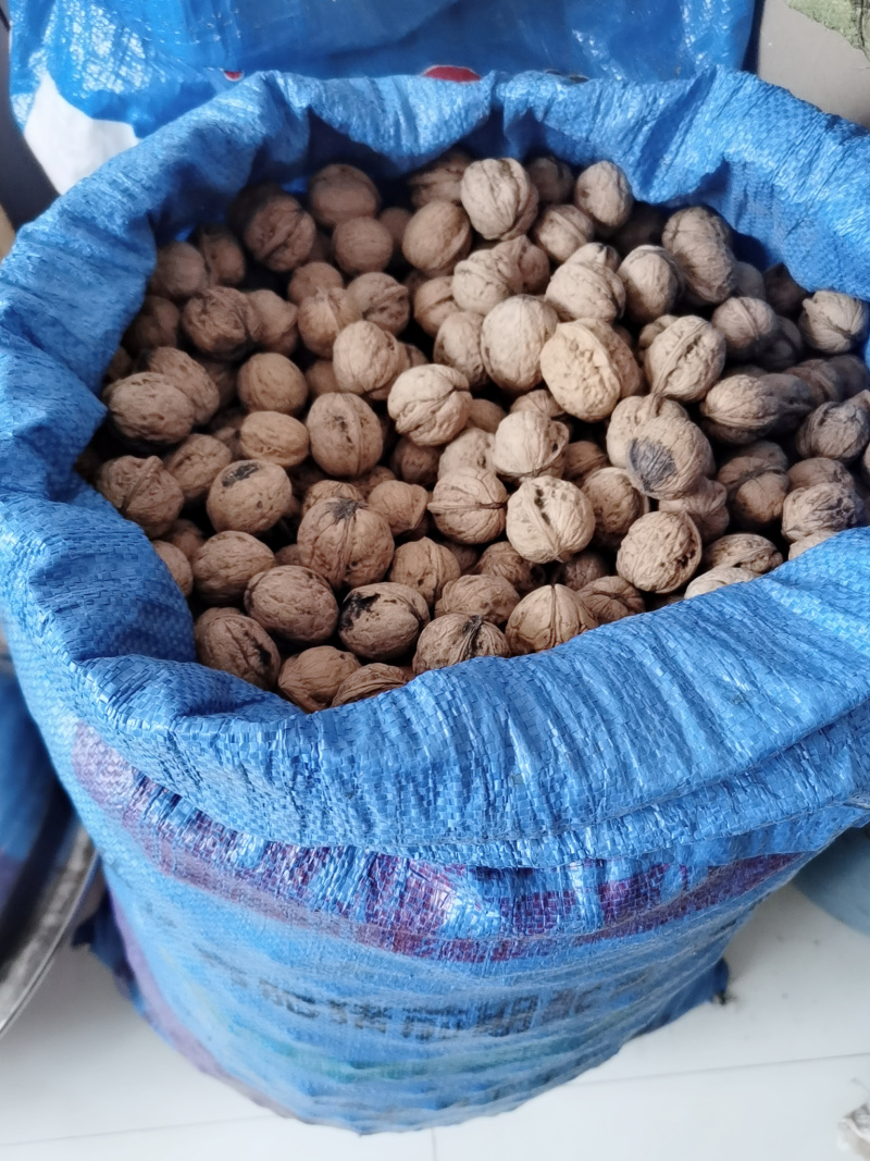 山区野核桃分心木，皮厚，分心木含量好。非薄皮核桃分心木。