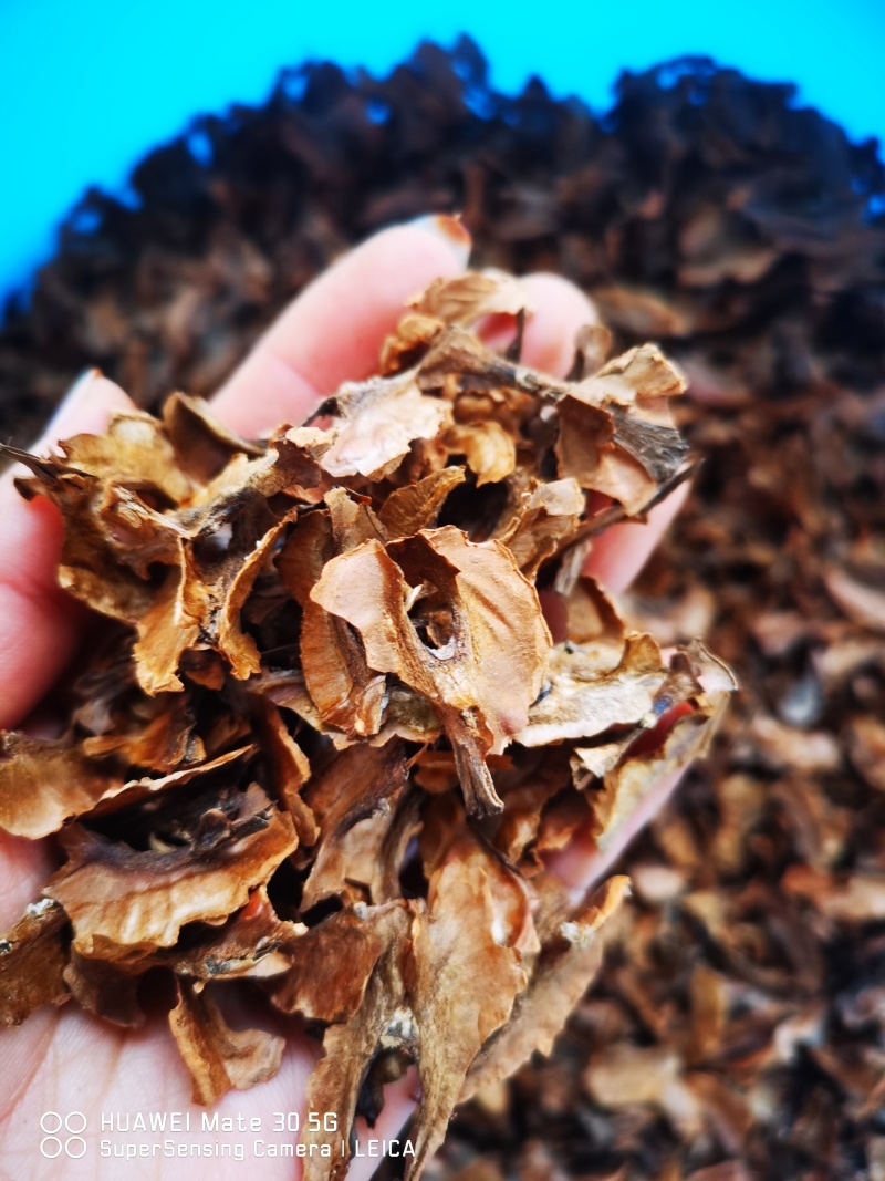 山区野核桃分心木，皮厚，分心木含量好。非薄皮核桃分心木。