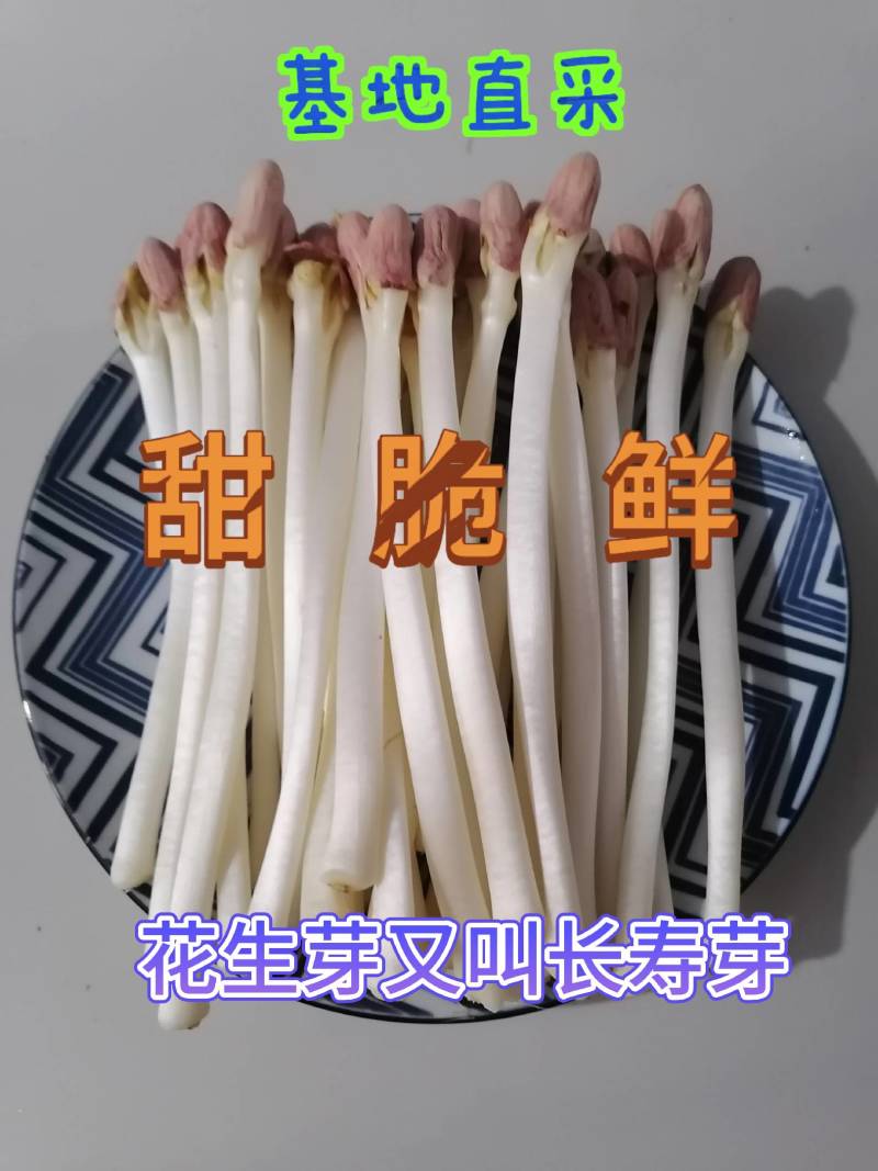万寿果芽