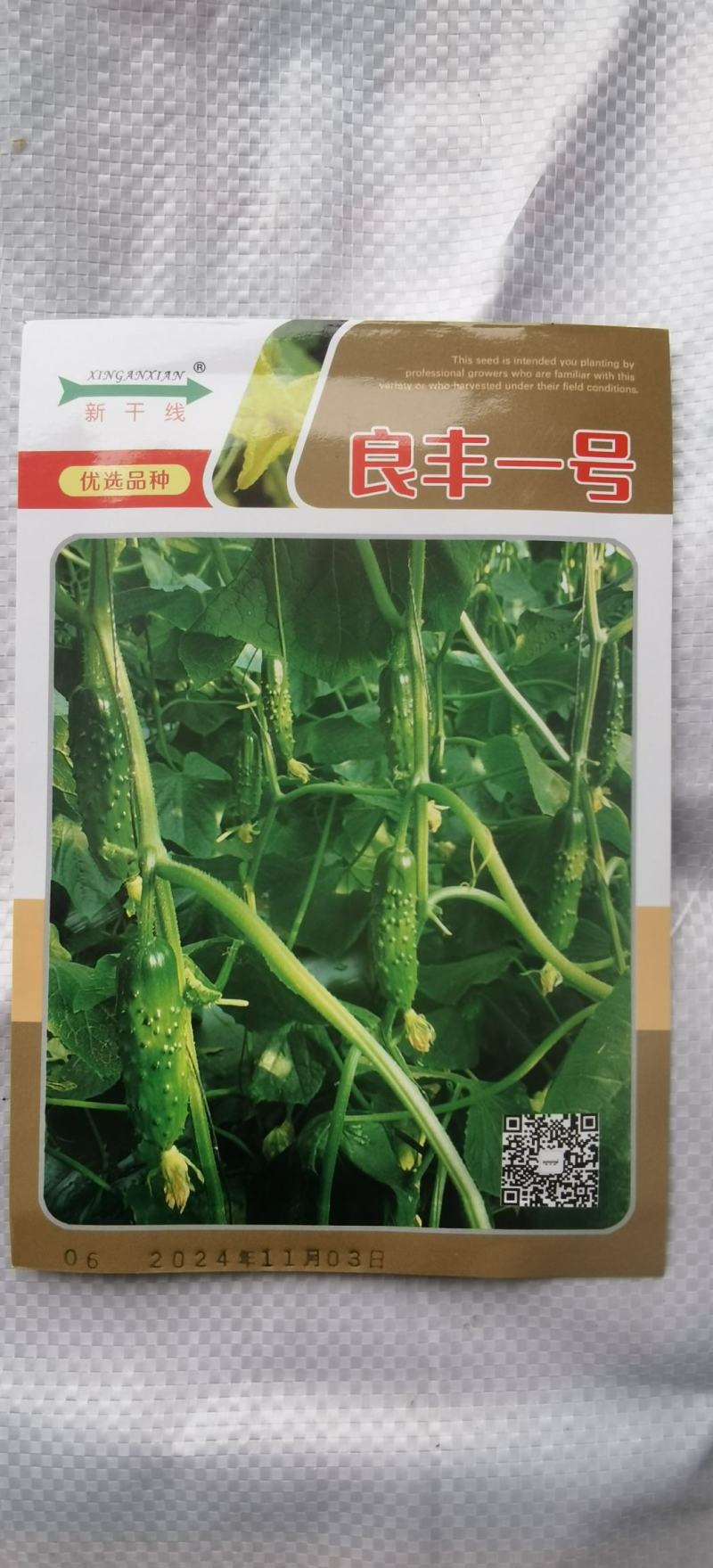 水果黄瓜种子良丰一号全雌耐低温长势强茎粗节密高产