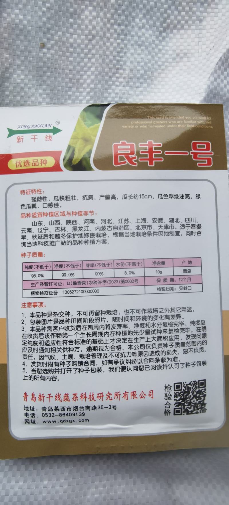 水果黄瓜种子良丰一号全雌耐低温长势强茎粗节密高产