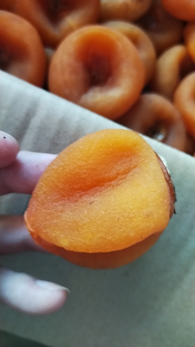 吊柿子广西平乐吊柿恭城柿饼吊柿高品质包邮包售后