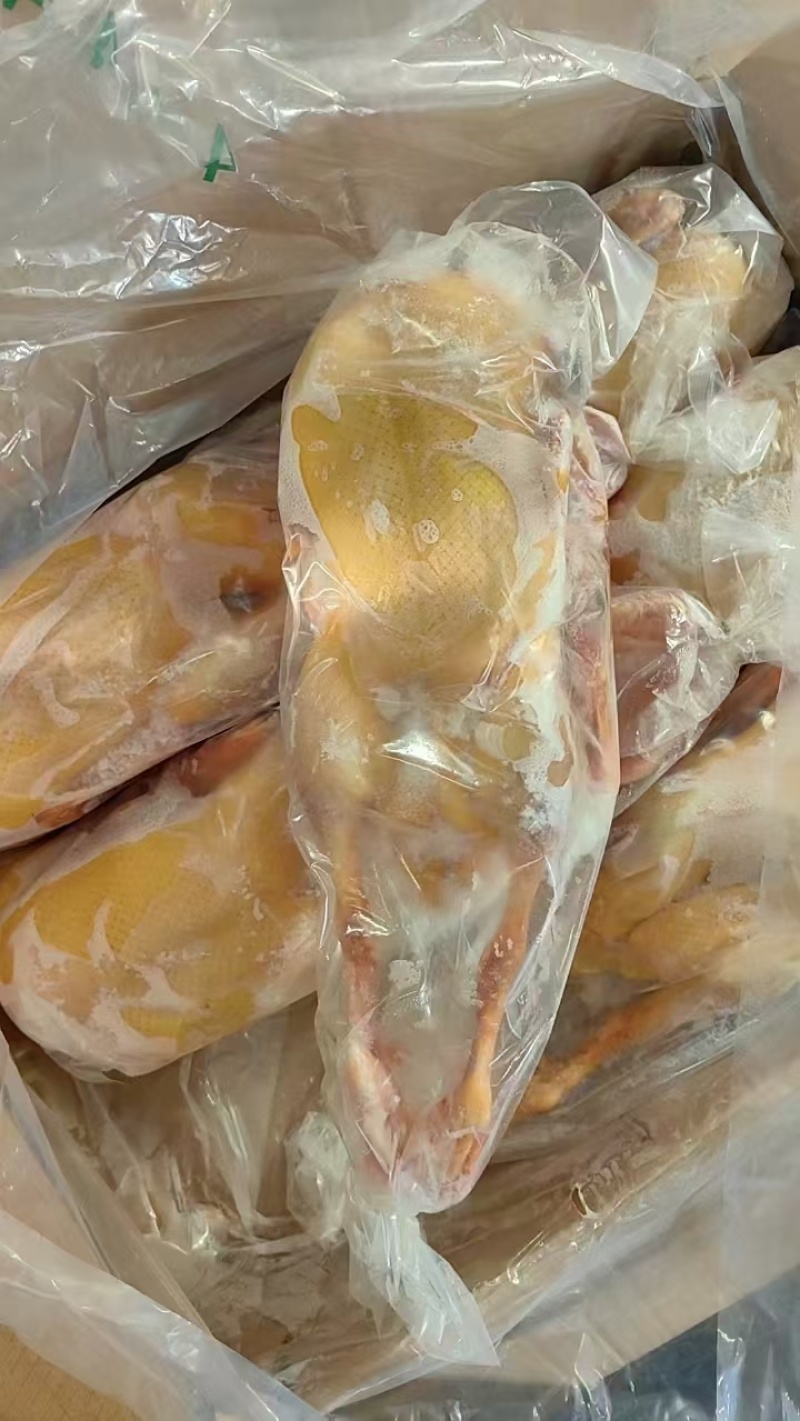 红嘴鸭番鸭规格齐全质优价廉