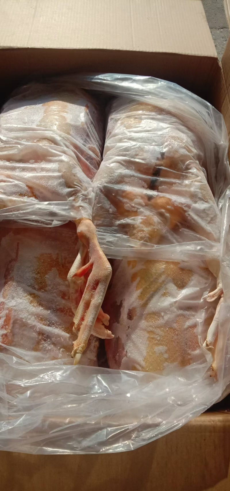 红嘴鸭番鸭规格齐全质优价廉