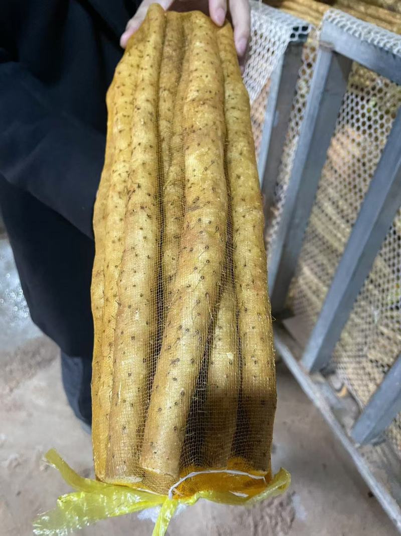 原产地种植小白嘴白山药铁棍山药现挖新鲜蔬菜铁杆山药批发