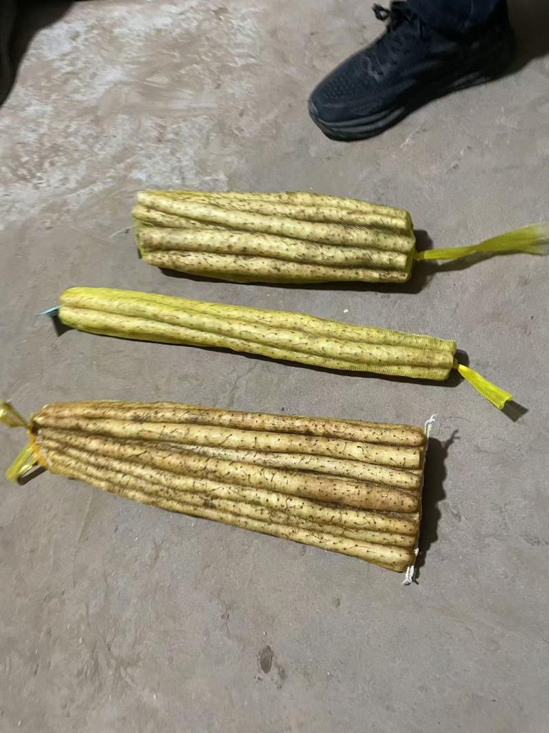 原产地种植小白嘴白山药铁棍山药现挖新鲜蔬菜铁杆山药批发