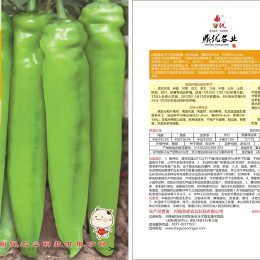 鼎优18黄皮牛角椒辣椒种子单果180克抗病高产
