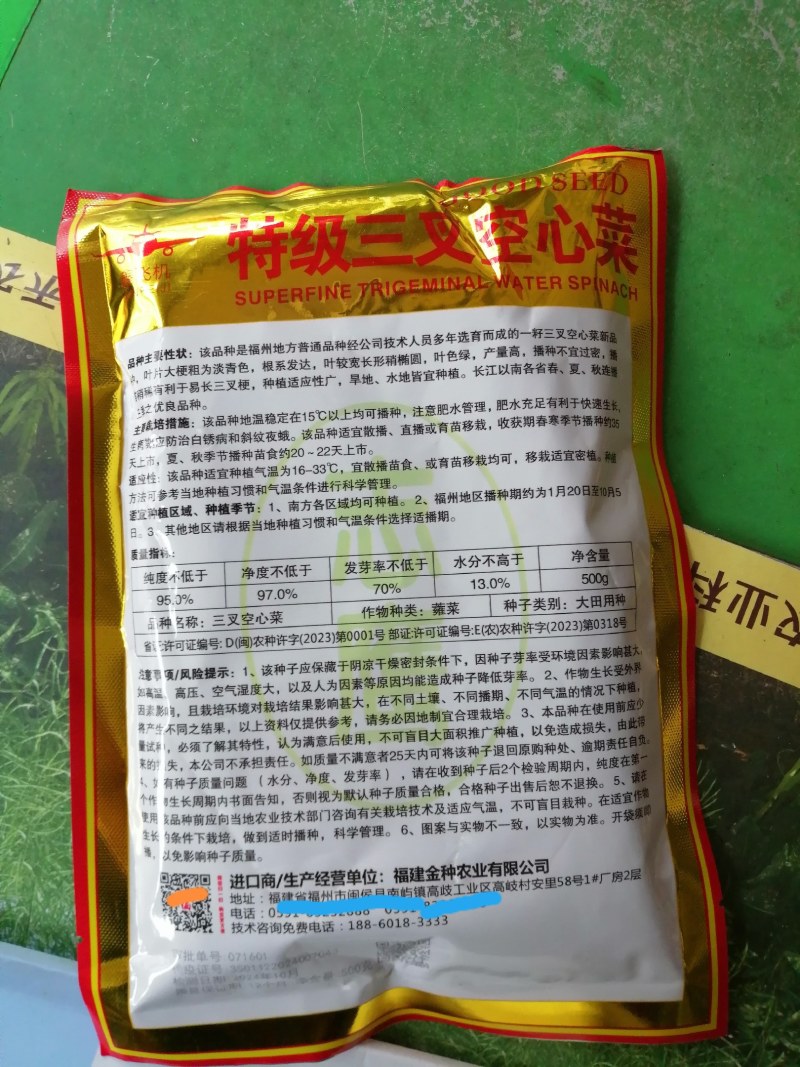 福州三叉空心菜新品种叶片大梗粗淡青色拫系发达产量高