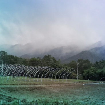 铜梁华兴镇蔬菜基地转让
