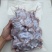 去皮去头去内脏牛蛙肉冰鲜牛蛙肉真空牛蛙肉牛蛙砍块牛蛙前腿