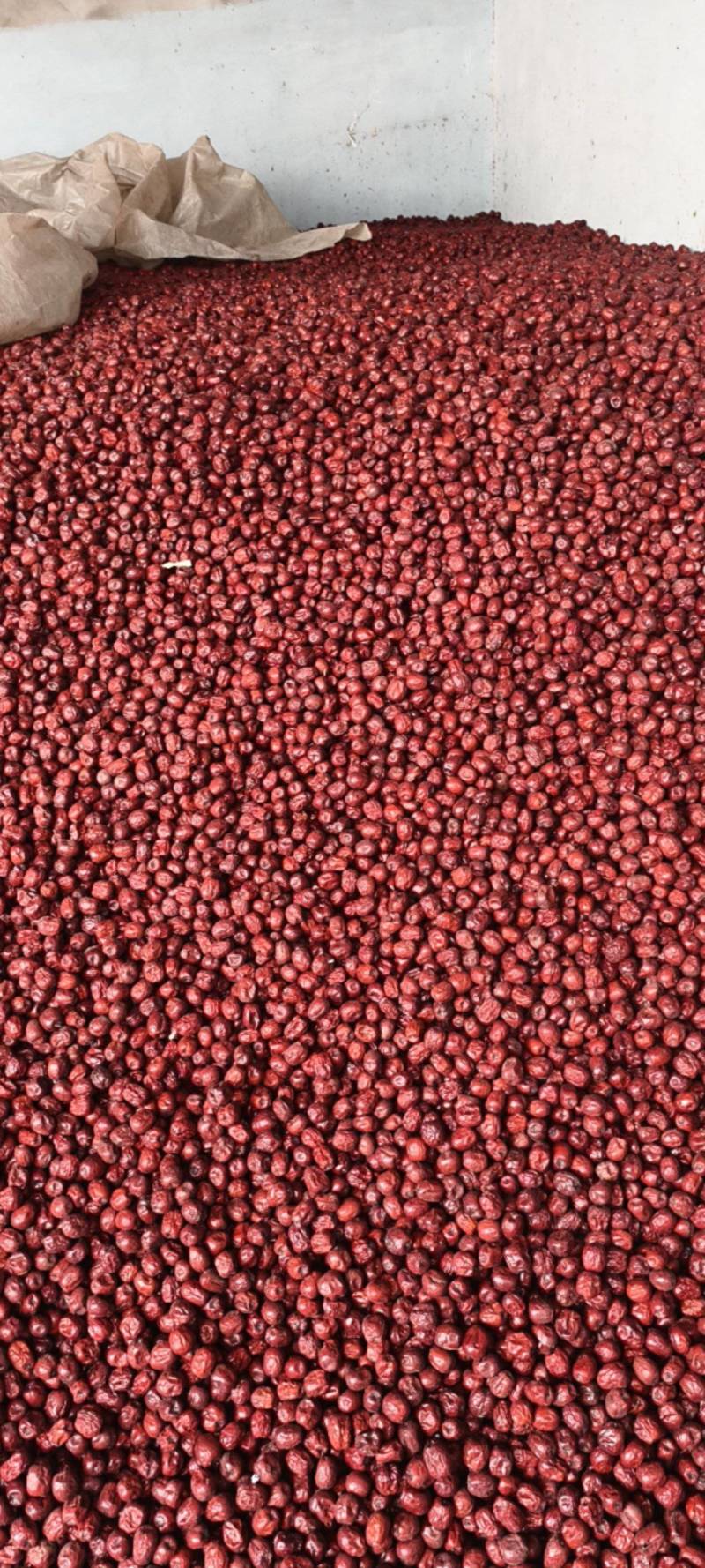 干红枣