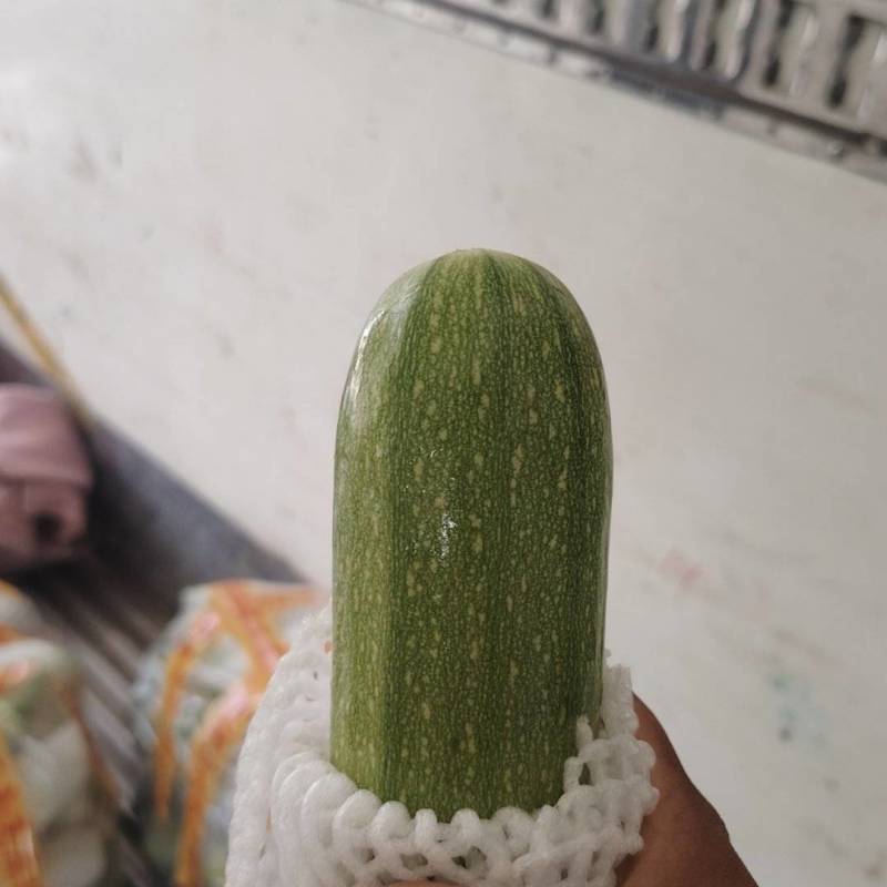 西葫芦