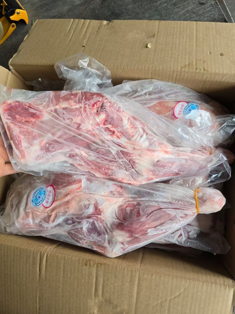 羔羊前腿，羊四分体