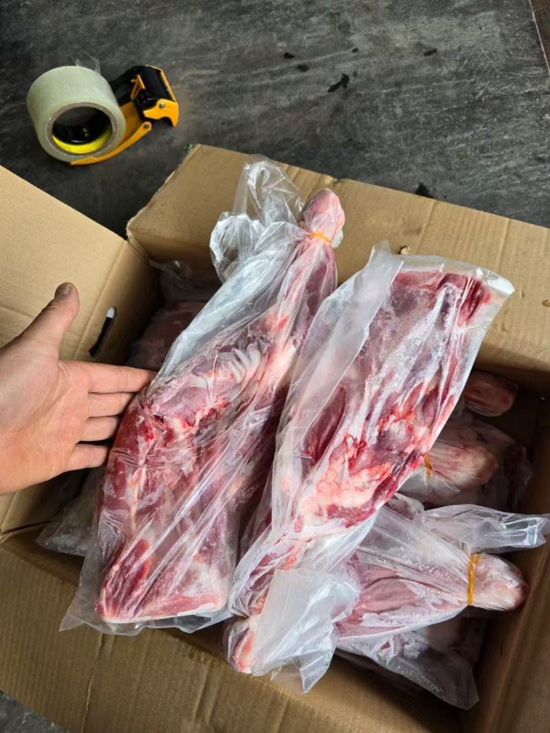 羔羊前腿，羊四分体