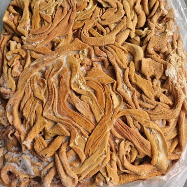 牛小肠大量供应厂家直发质量保证精修无油无冰