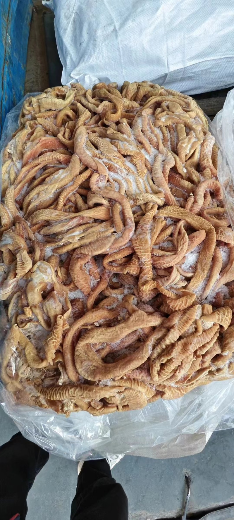 牛小肠大量供应厂家直发质量保证精修无油无冰