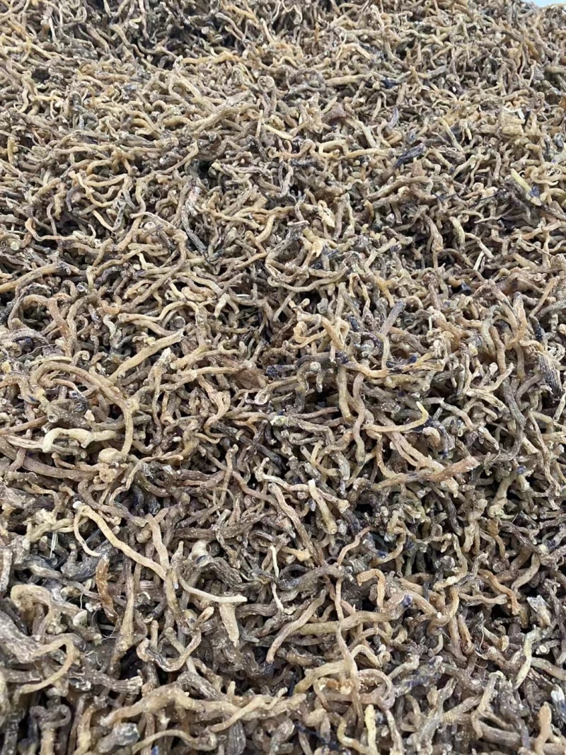 野生玉竹***玉竹味道清香爽口玉竹条质量保证