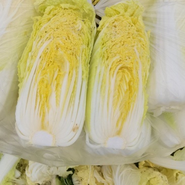 自产自销，大小娃娃菜上市中，价位美丽，品质优越……