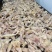 【熟牛蹄筋】原味全熟牛细筋纯干无泡水无水发