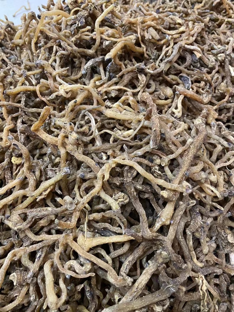野生玉竹***玉竹味道清香爽口玉竹条质量保证