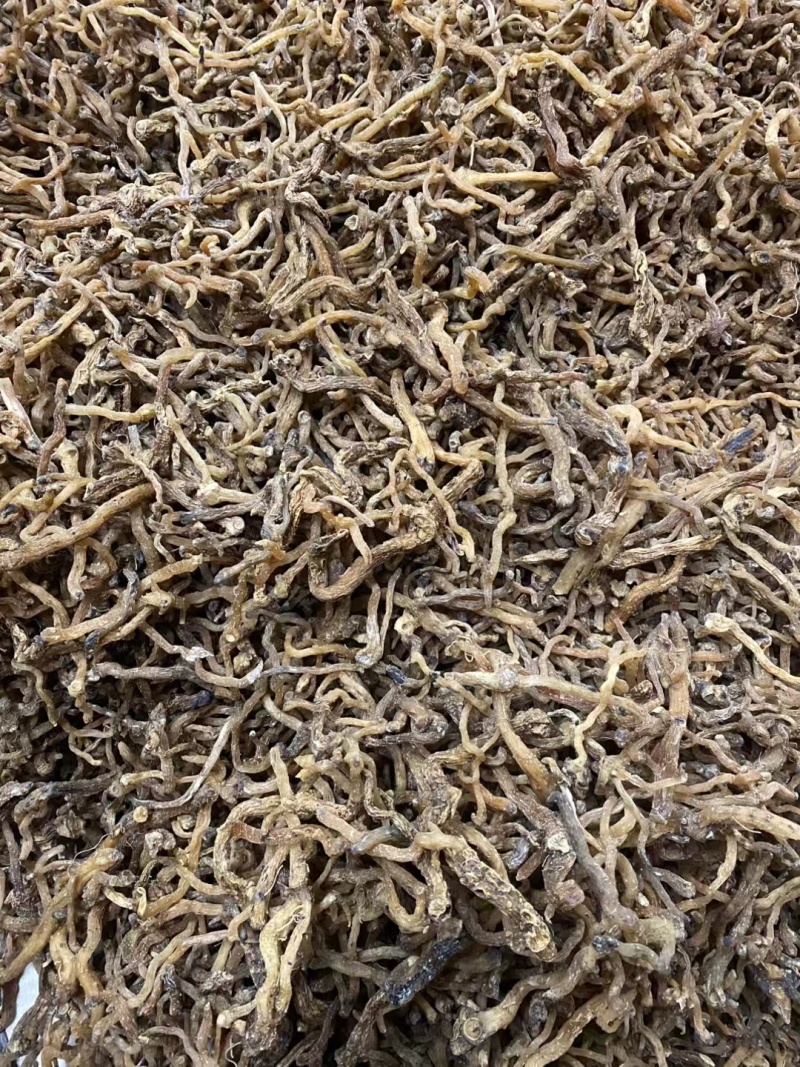 野生玉竹***玉竹味道清香爽口玉竹条质量保证