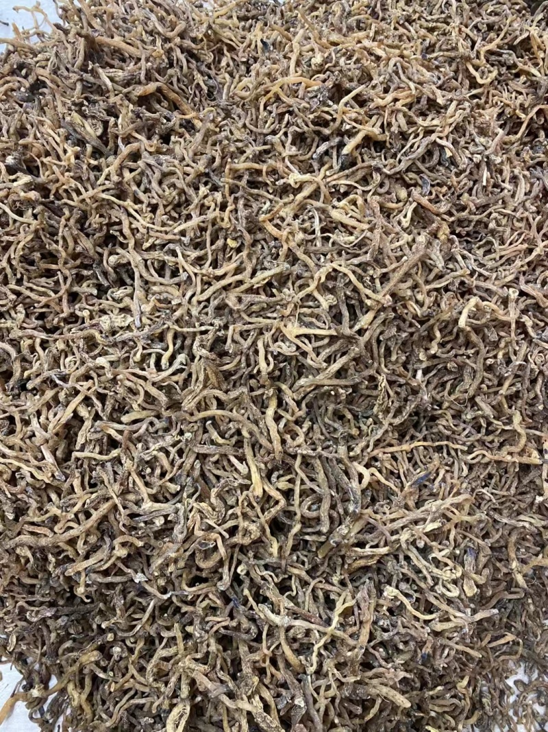 野生玉竹***玉竹味道清香爽口玉竹条质量保证