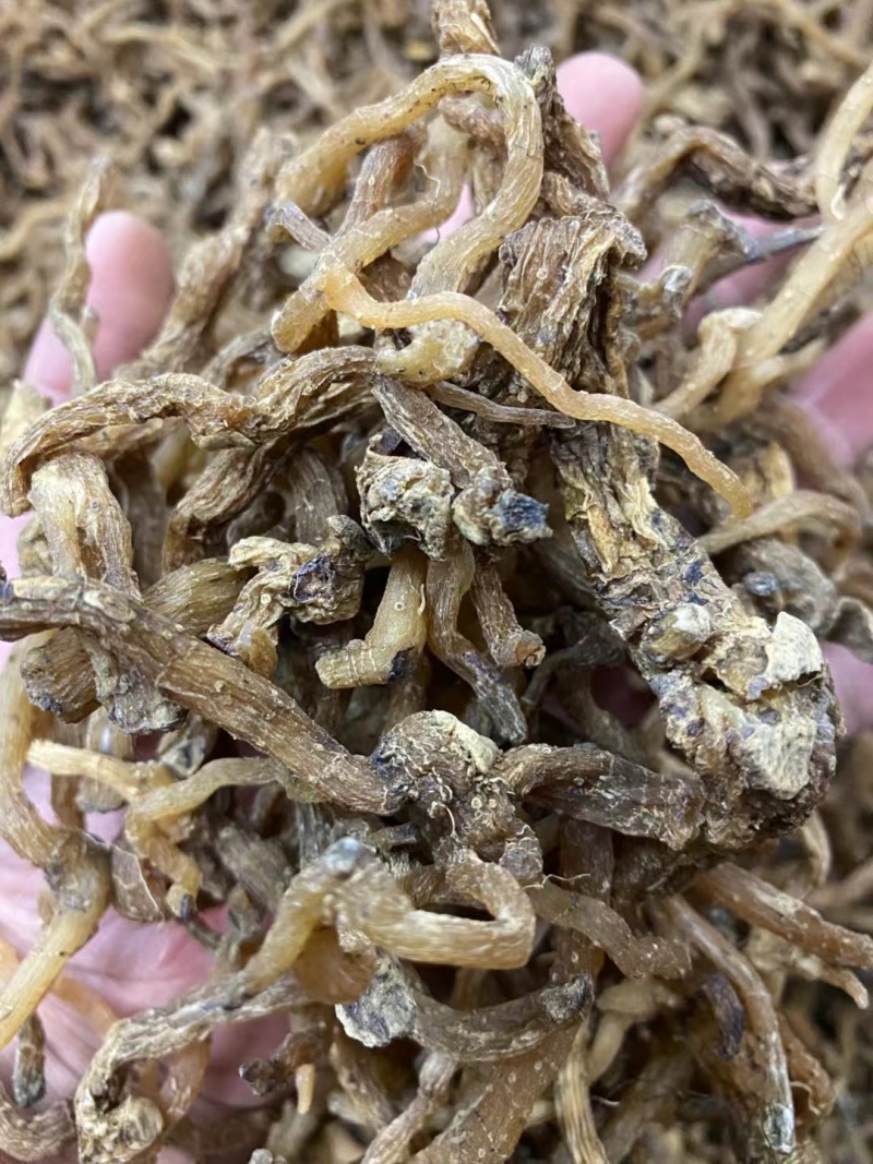 野生玉竹***玉竹味道清香爽口玉竹条质量保证