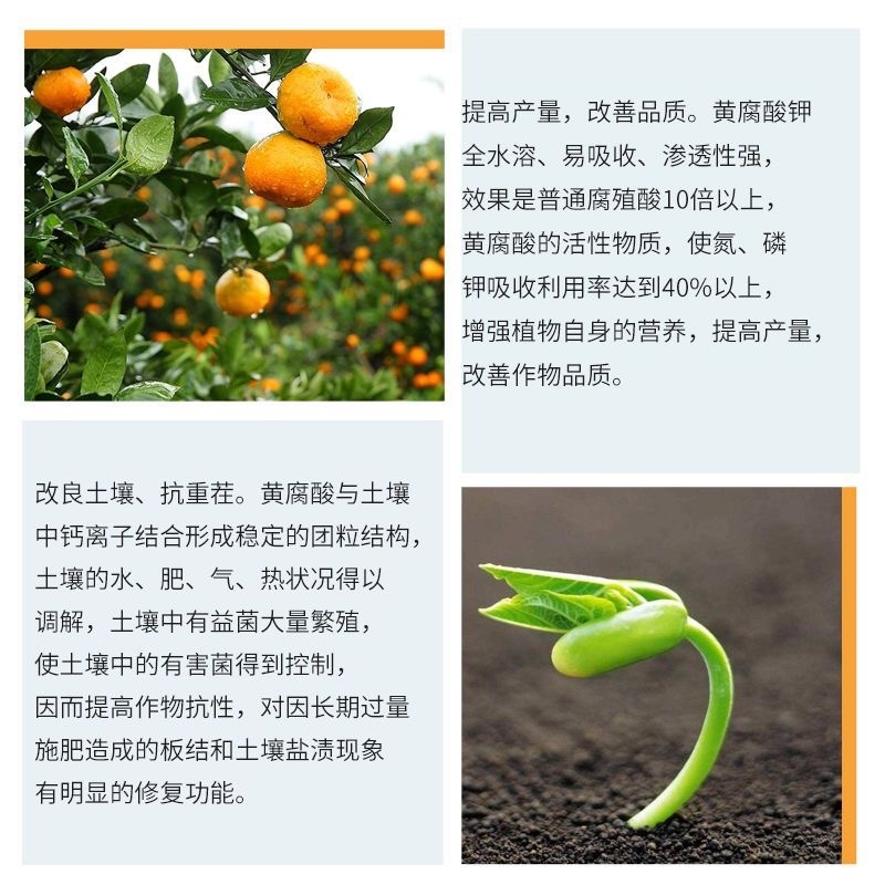 大庆矿源黄腐酸钾微生物有机水溶肥