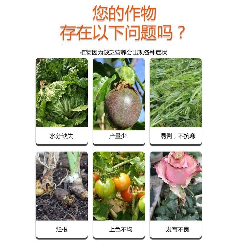 大庆矿源黄腐酸钾微生物有机水溶肥