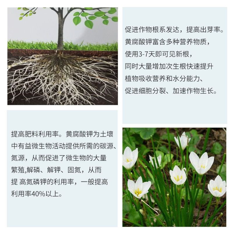 大庆矿源黄腐酸钾微生物有机水溶肥