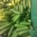 小瓜