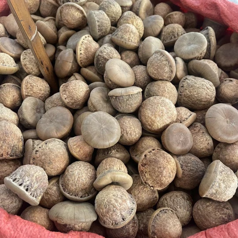 风流果中药材批发各种规格