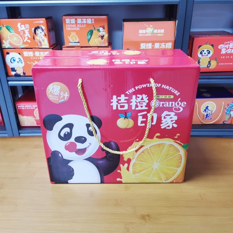 橘橙印象手提箱