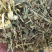 花生秧大量现货供应需要的老板电话联系