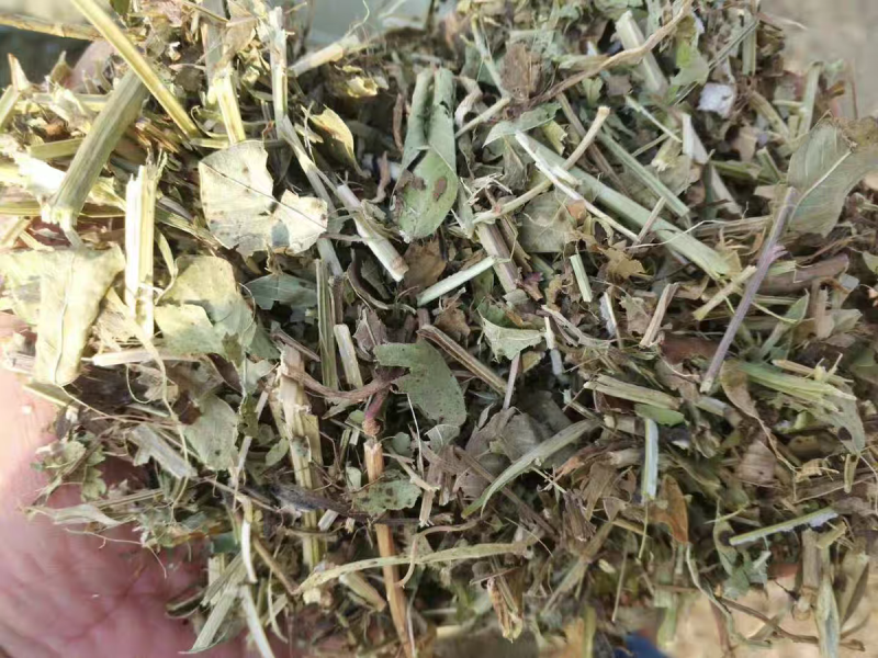 花生秧大量现货供应需要的老板电话联系