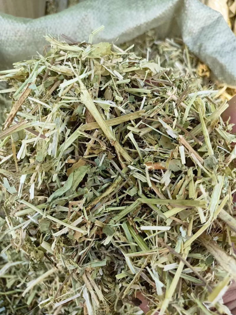 花生秧大量现货供应需要的老板电话联系