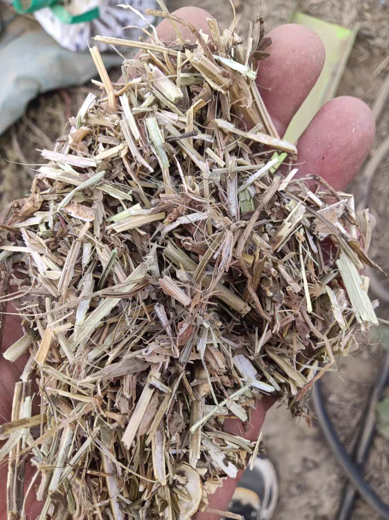 花生秧大量现货供应需要的老板电话联系