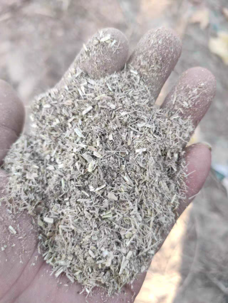 花生秧大量现货供应需要的老板电话联系