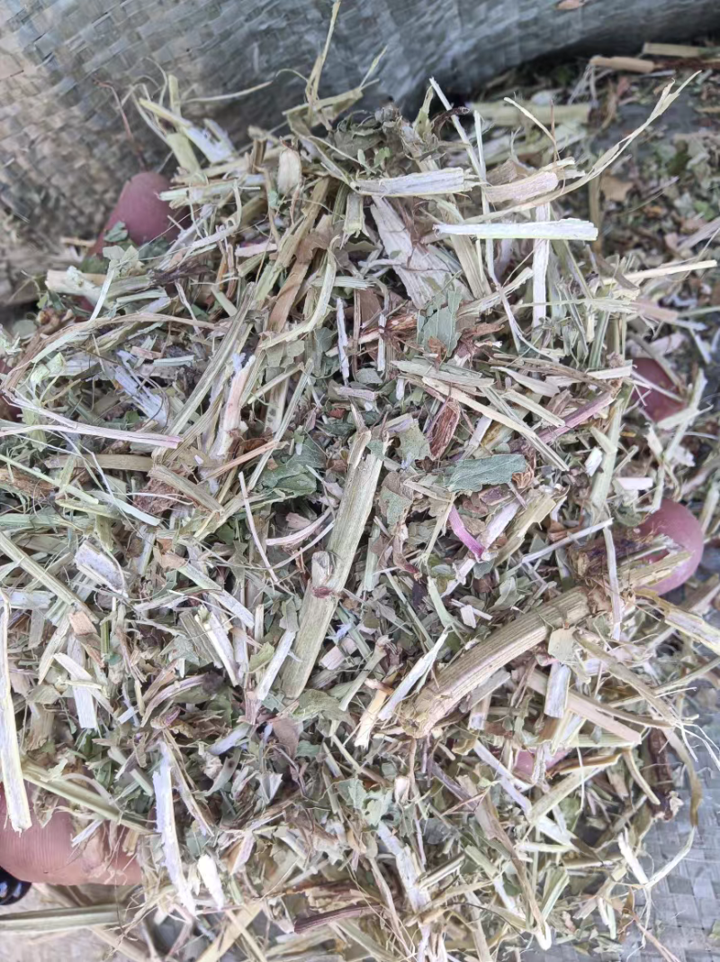 花生秧大量现货供应需要的老板电话联系