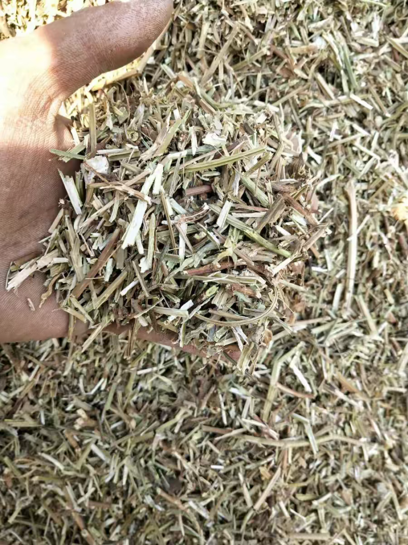 花生秧大量现货供应需要的老板电话联系