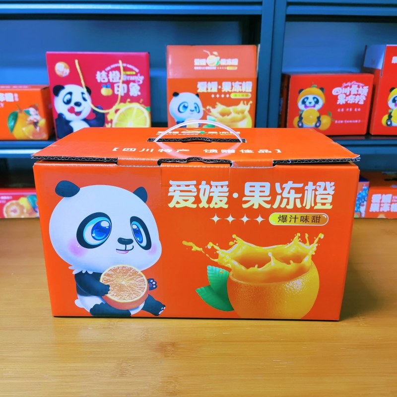 熊猫版净果5斤加强结构手提彩箱