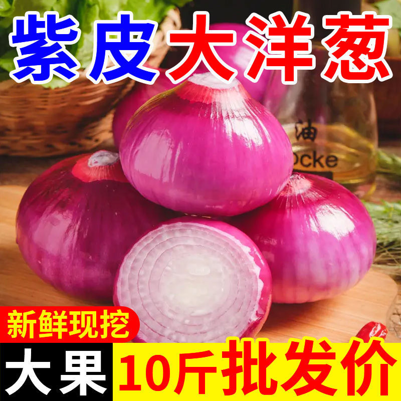 【刚刚降价】新鲜现挖洋葱紫红皮水果洋葱应季蔬菜生吃整箱批
