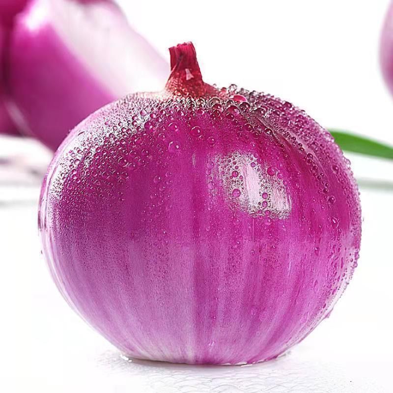 【刚刚降价】新鲜现挖洋葱紫红皮水果洋葱应季蔬菜生吃整箱批