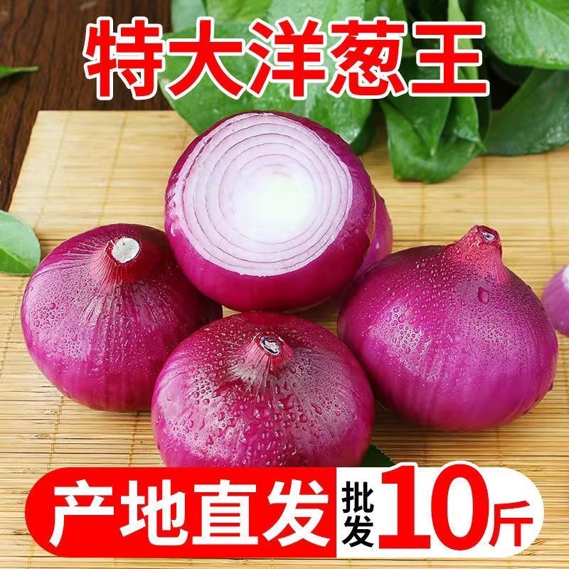 【刚刚降价】新鲜现挖洋葱紫红皮水果洋葱应季蔬菜生吃整箱批