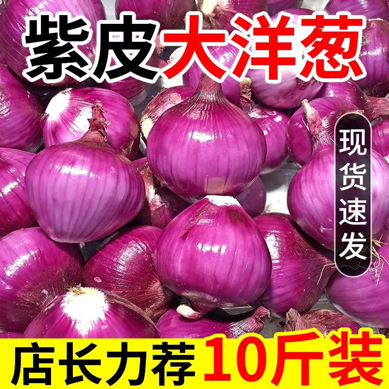 【刚刚降价】新鲜现挖洋葱紫红皮水果洋葱应季蔬菜生吃整箱批