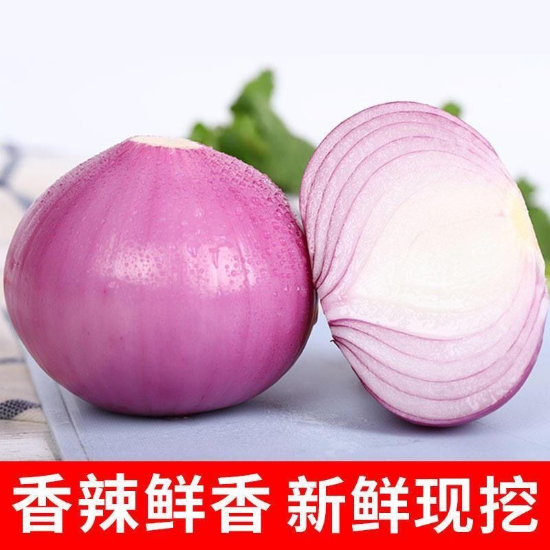 【刚刚降价】新鲜现挖洋葱紫红皮水果洋葱应季蔬菜生吃整箱批