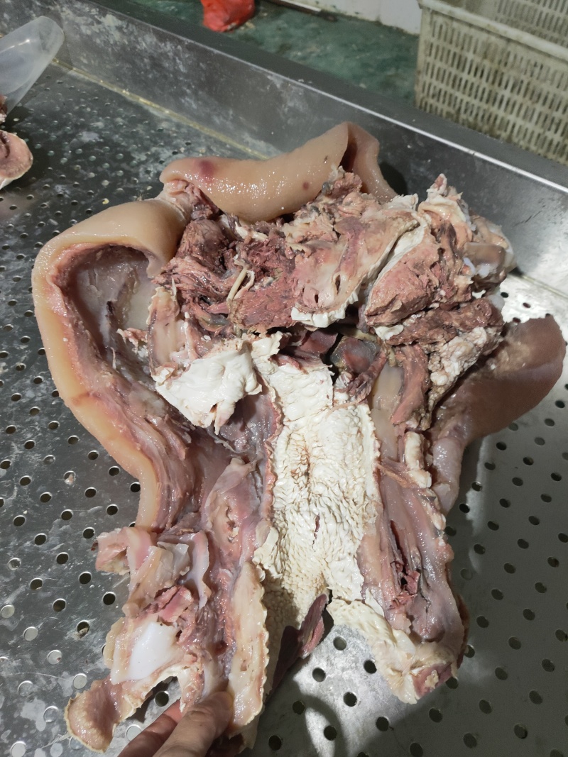 全网低价牛头肉特卖保质保量自产自销现货供应