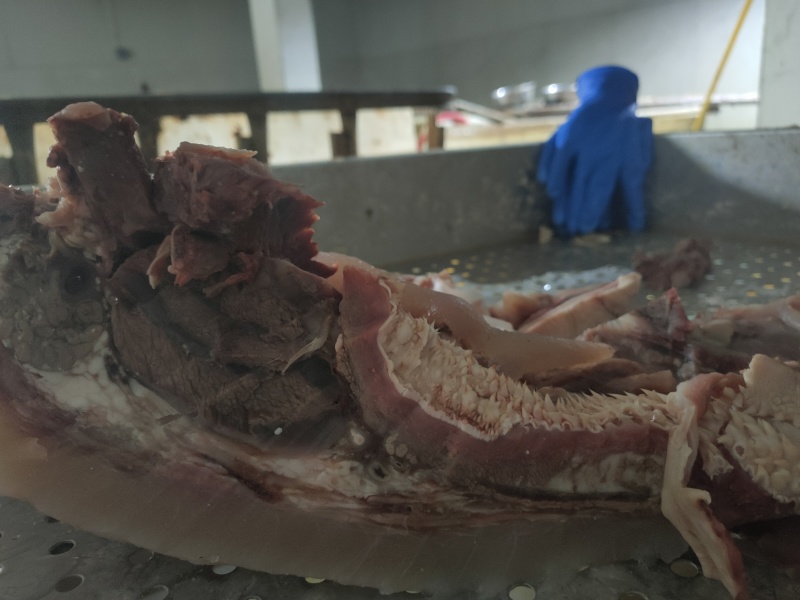 全网低价牛头肉特卖保质保量自产自销现货供应