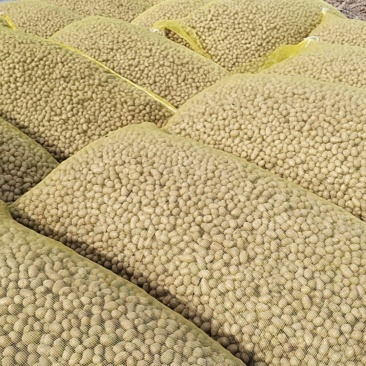 白玉山药豆，